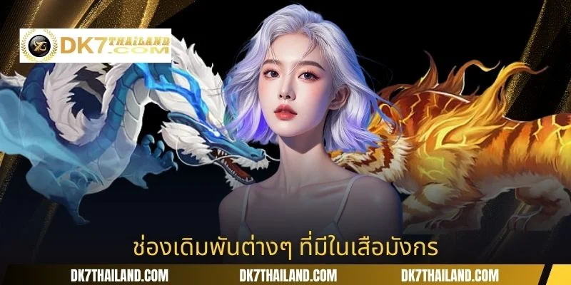 ช่องเดิมพันต่างๆ ที่มีในเสือมังกร